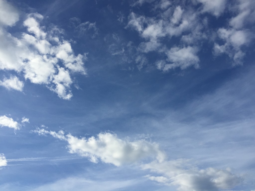 A child lying in the grass can see many images in the clouds.