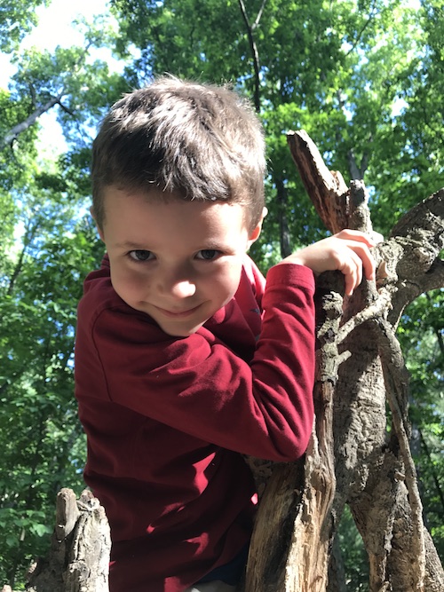 Grandson Owen, tree climber.