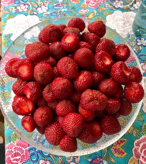 Norwegian strawberries. So cool and so sweet.