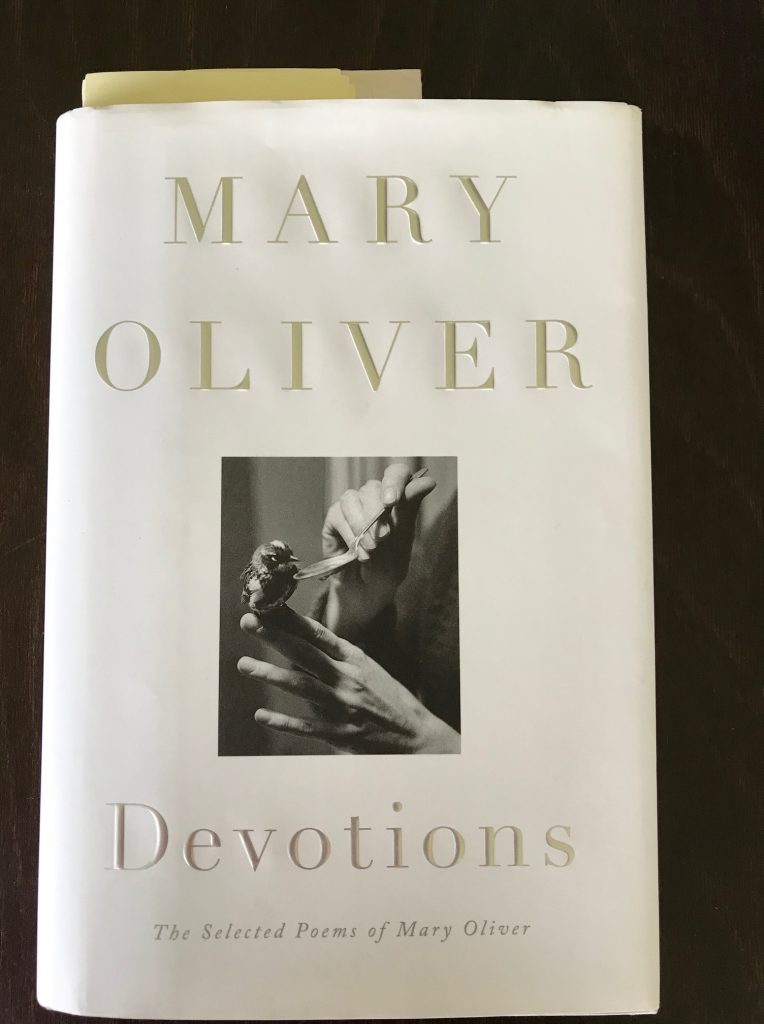 Mary Oliver, Devotions