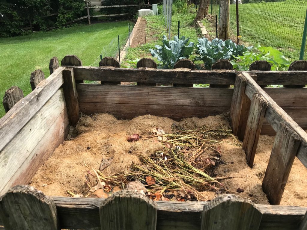 Compost pile next to my neighbor's garden.