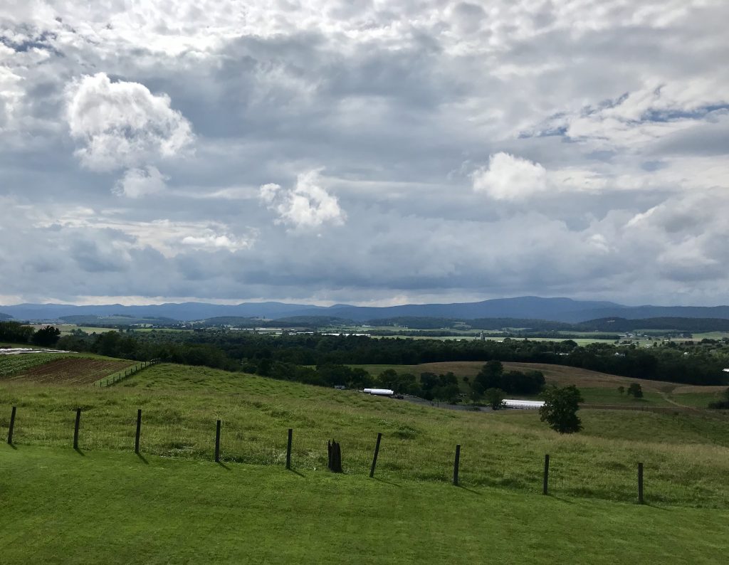 Today's clouds. Never the same as yesterday's.