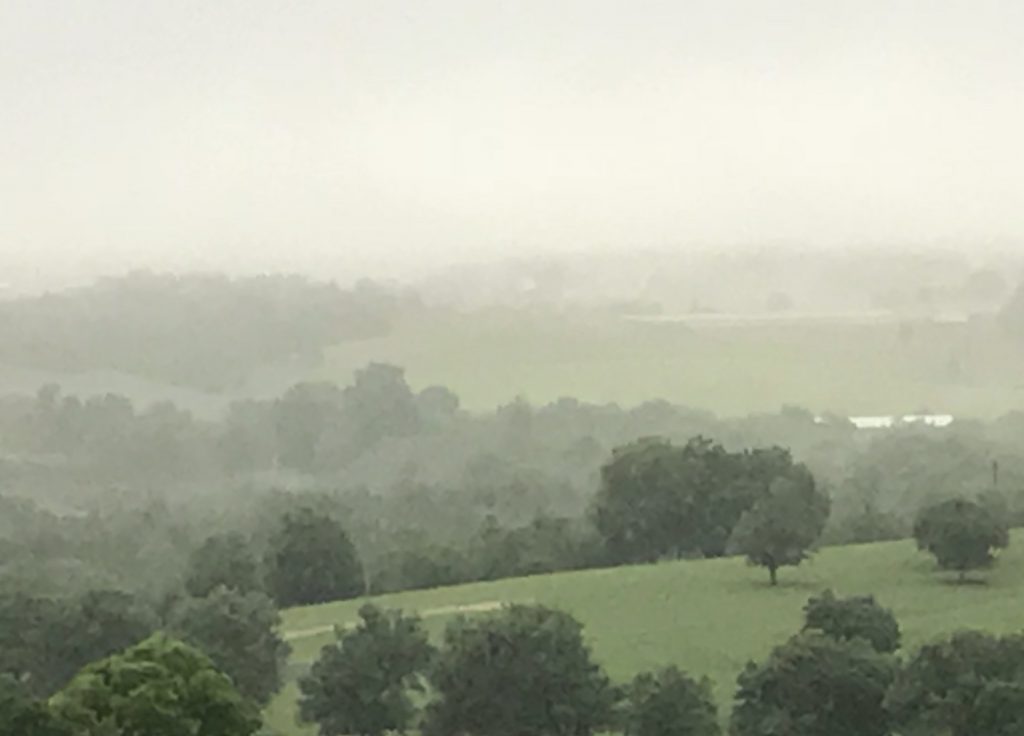 June 23, 2018, misty morning