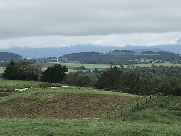 The Shenandoah Valley this year has been as green as Ireland!