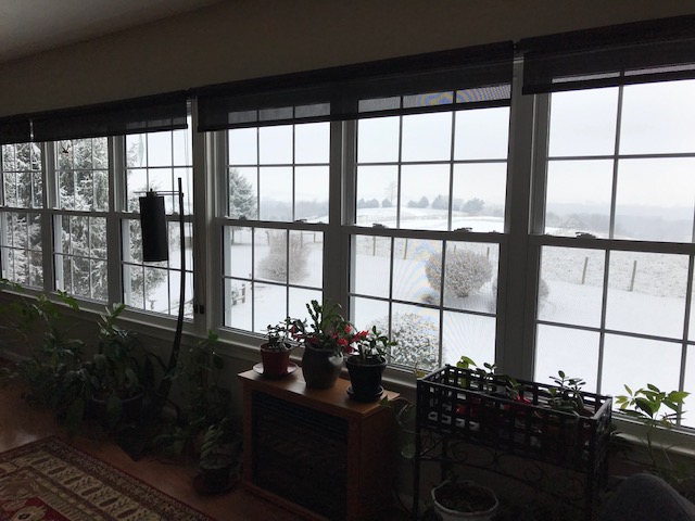 Snow through the windows.