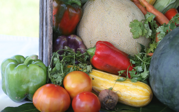 A cornucopia of fall produce from the Farm at Willow Run.