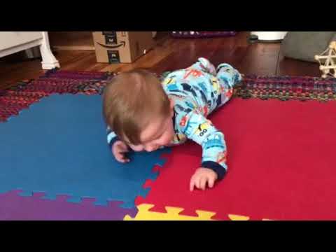 Lydia Learning to Crawl