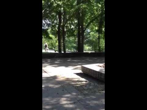 Ft. Greene Park Literary History
