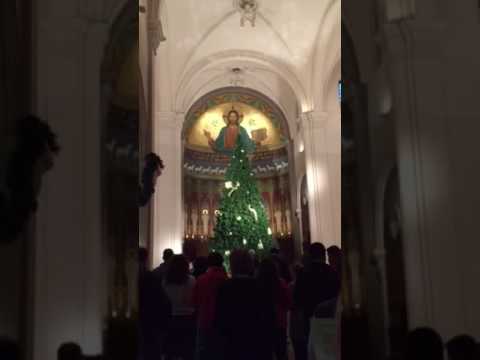 Tree Lighting at St. John's University, Collegeville, MN